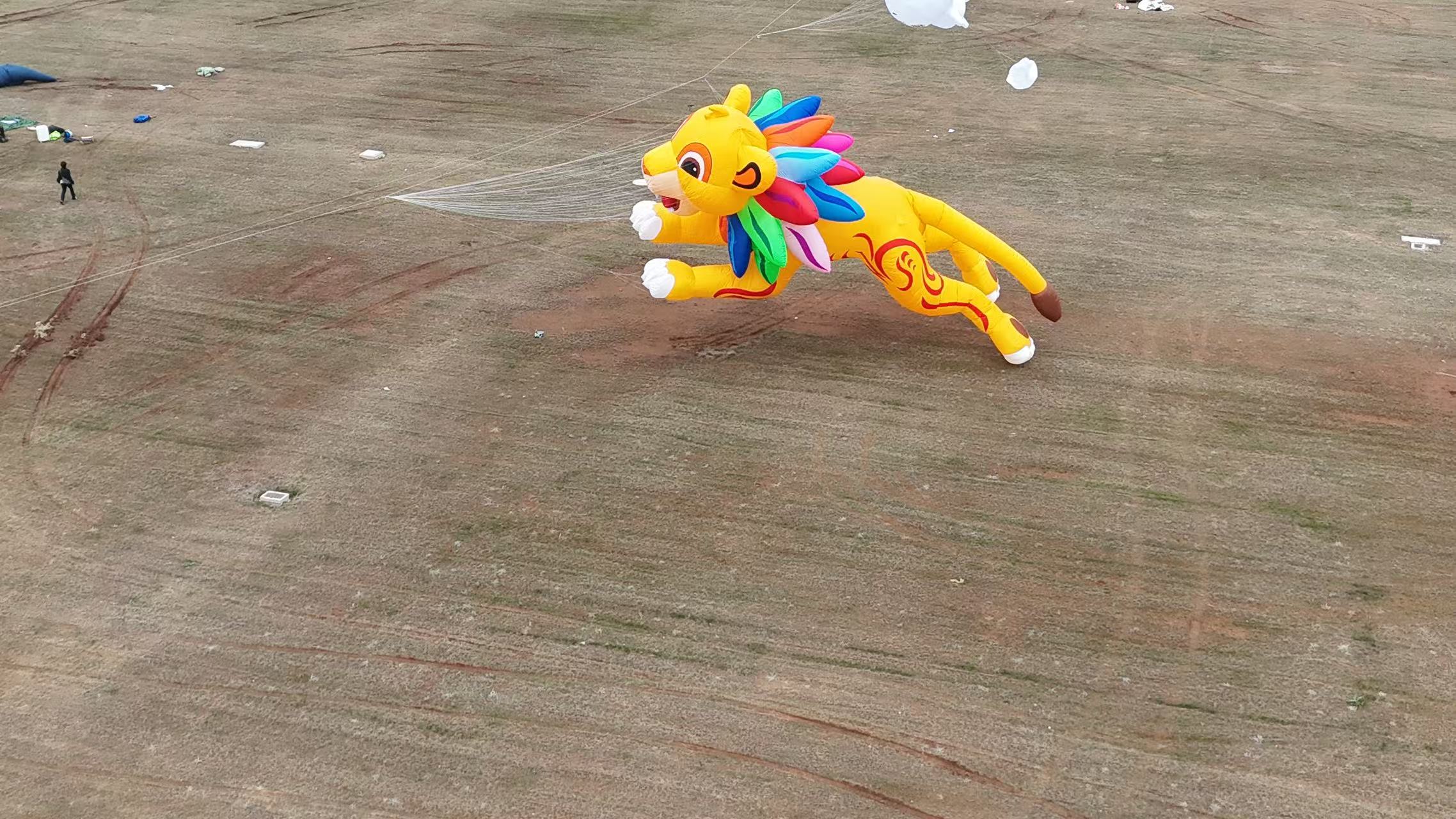 东莞市品牌风筝定制品牌风筝定制 - 厂家