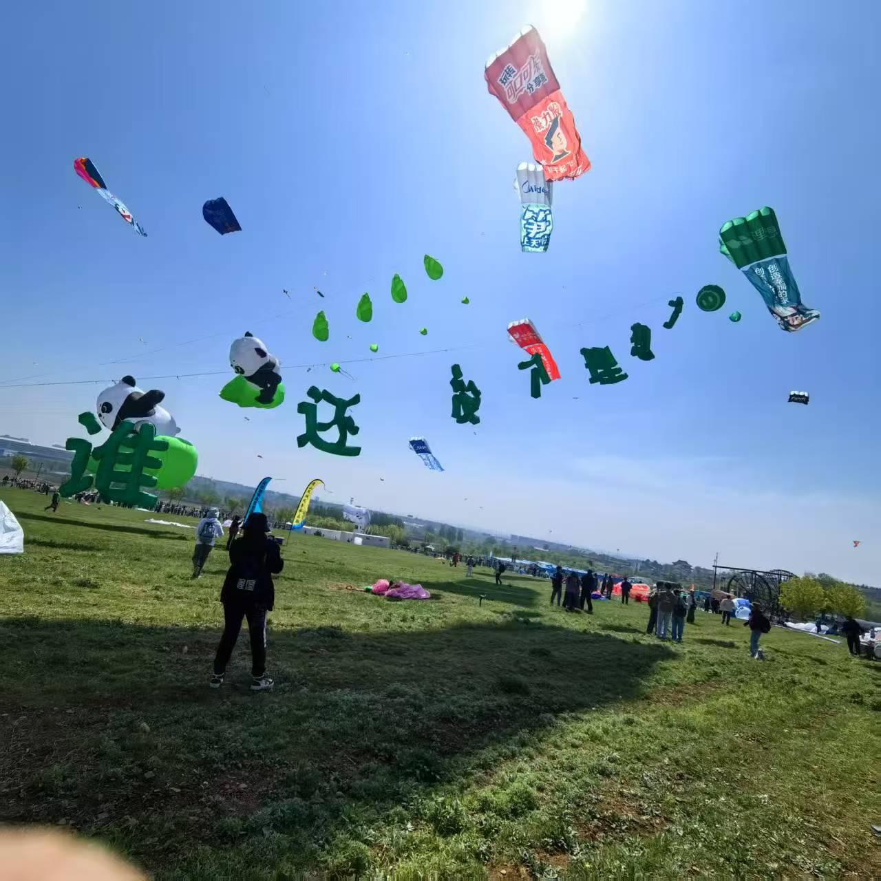 东莞市风筝商业放飞风筝定制 - 一站式服务